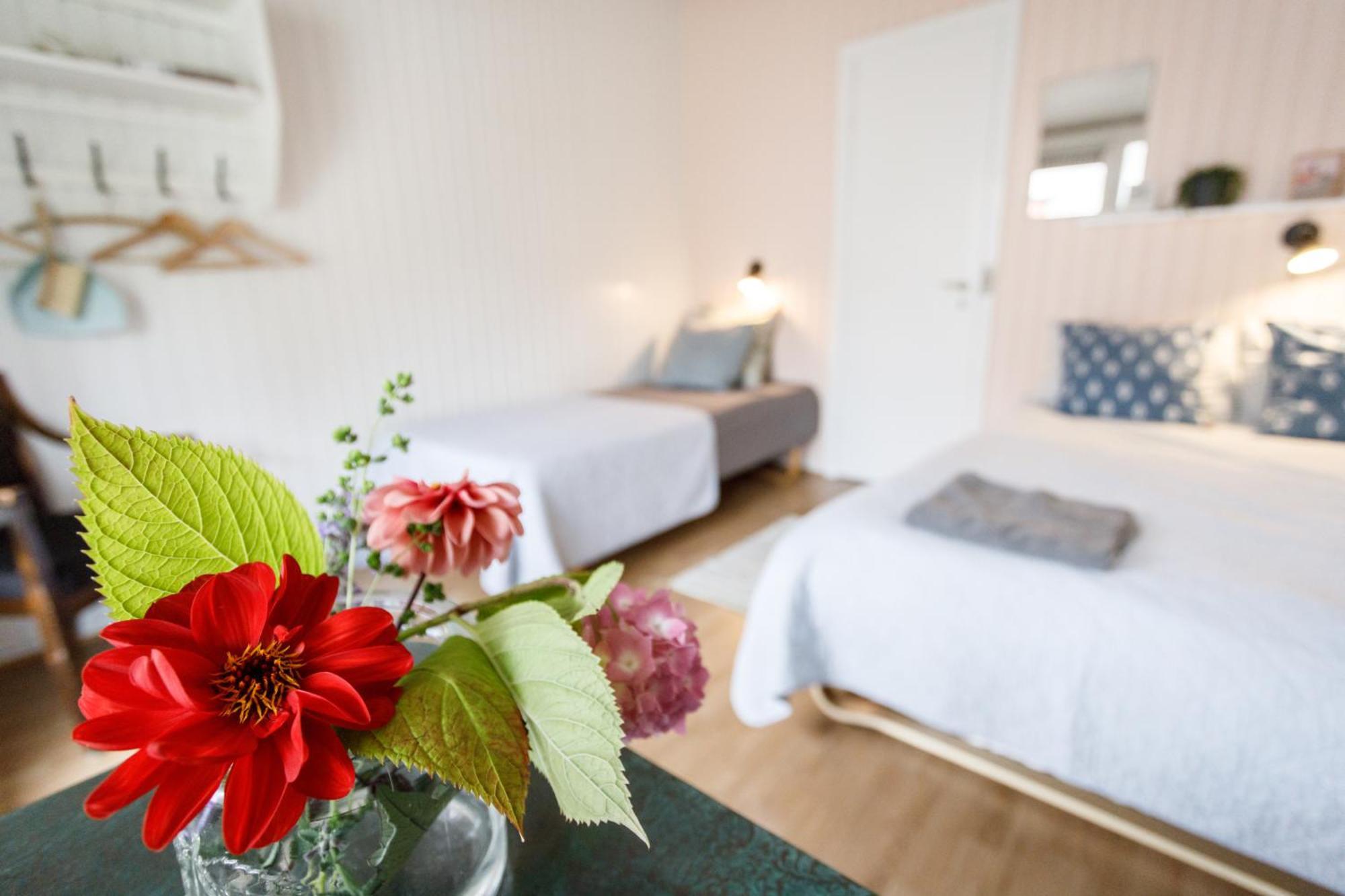Danhostel Stevns Klint Store Heddinge Ngoại thất bức ảnh